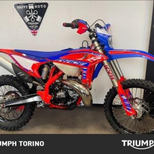 RR 300 2T Enduro
