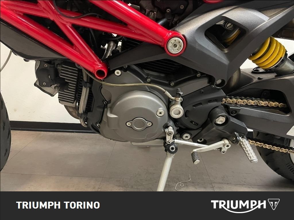 Monster 1100 - immagine 8