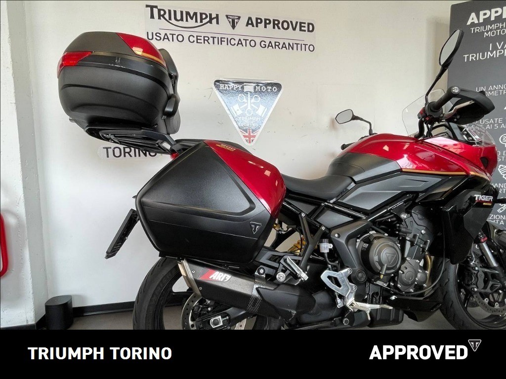 Tiger Sport 800 - immagine 7